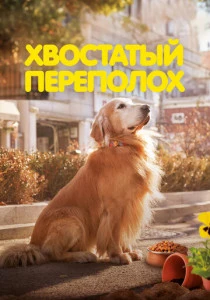 Хвостатый переполох (2024) онлайн