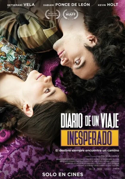  По следам дневника (2023) онлайн