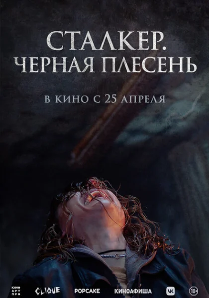  Сталкер. Черная плесень (2023) онлайн
