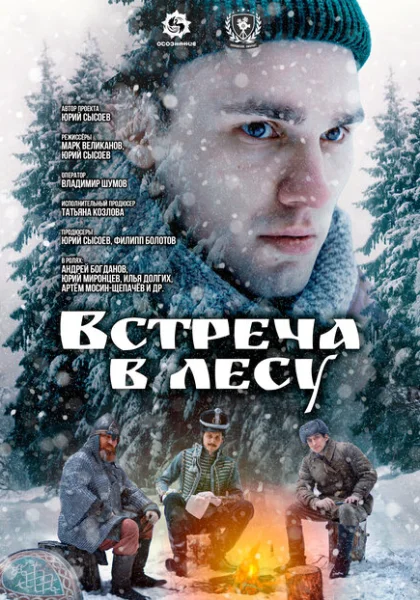  Встреча в лесу (2023) онлайн