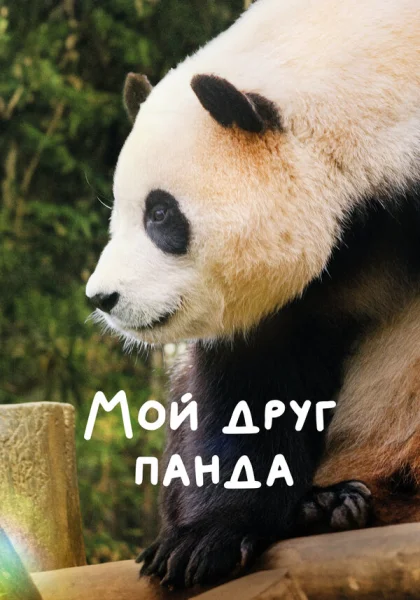 Мой друг панда (2024) онлайн