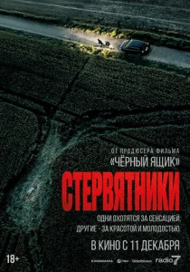 Стервятники (2025)