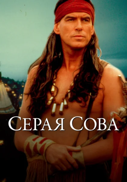  Серая сова (1999)