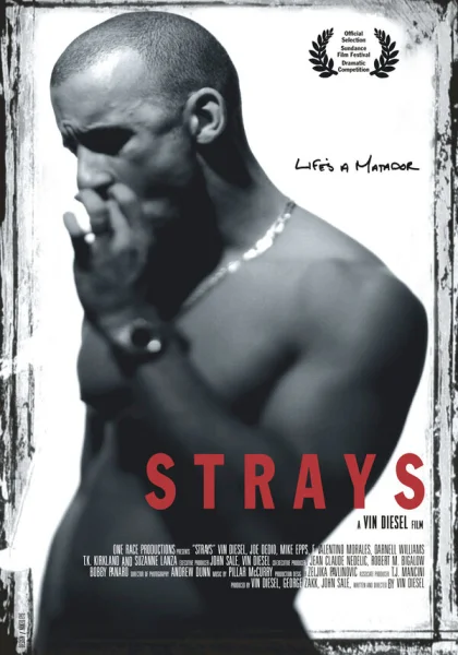  Бродяги (1997)