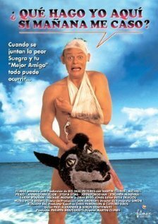  Особенности холостяцкой вечеринки (1994)