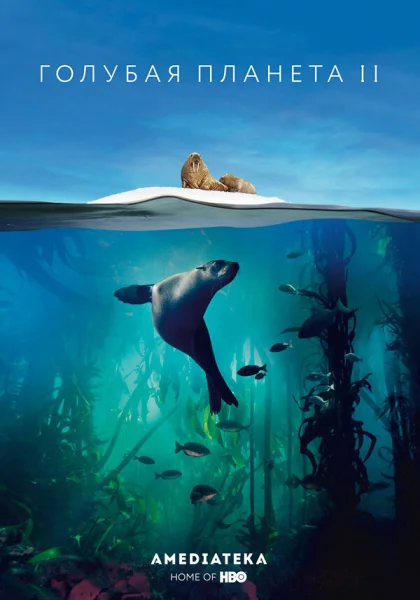  Голубая планета 2 (2017)