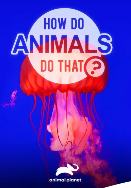  Удивительный мир животных (2019)