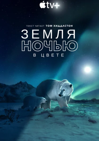  Земля ночью в цвете (2020)