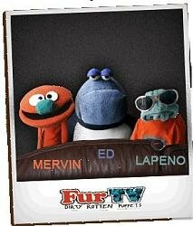  Мохнатики (2008)