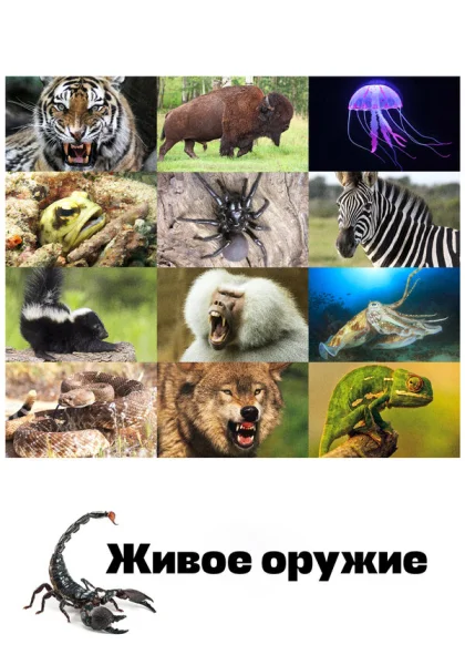  Живое оружие (2016)