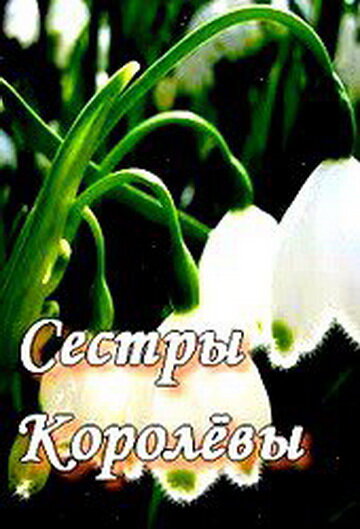  Сестры Королевы (2010)