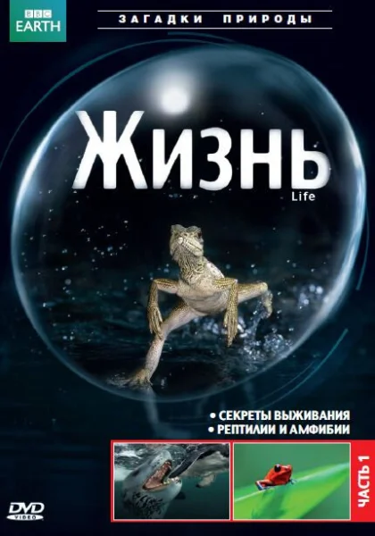  BBC: Жизнь (2009)