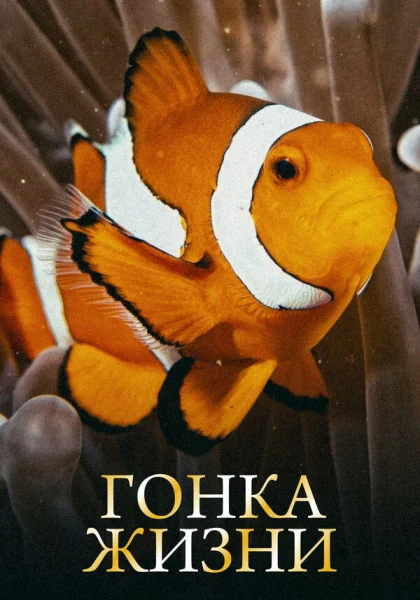  Гонка жизни (2015)