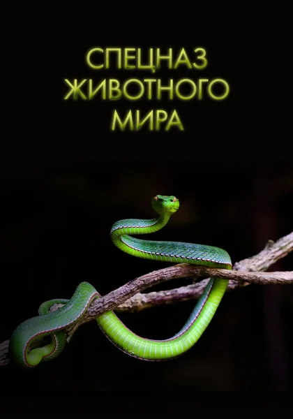  Спецназ животного мира (2018)