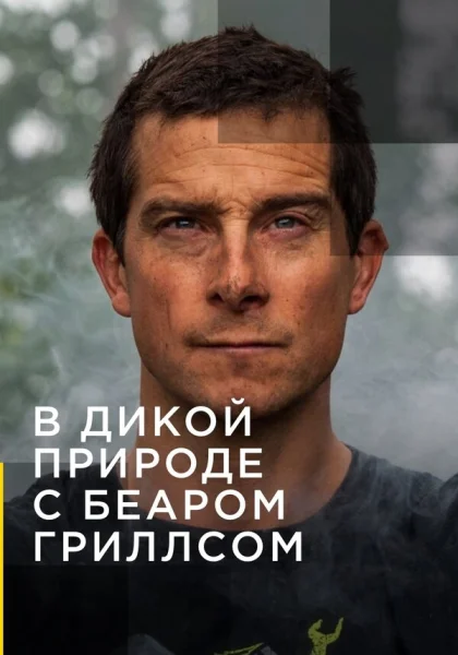  В дикой природе с Беаром Гриллсом (2014)