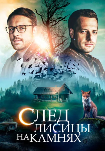 След лисицы на камнях (2019)