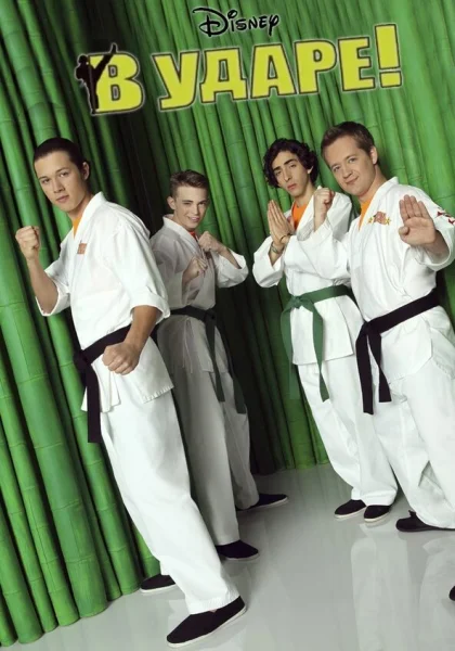  В ударе (2011)