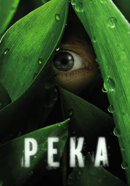  Река (2012)