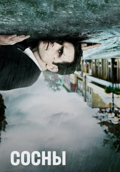  Сосны (2015)