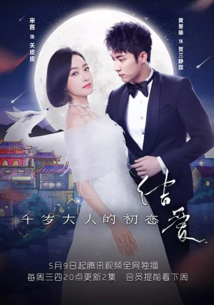  Узелок любви: Первая любовь Его Превосходительства (2018)