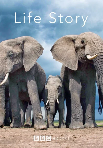  История жизни (2014)