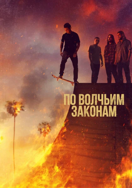  По волчьим законам (2016)