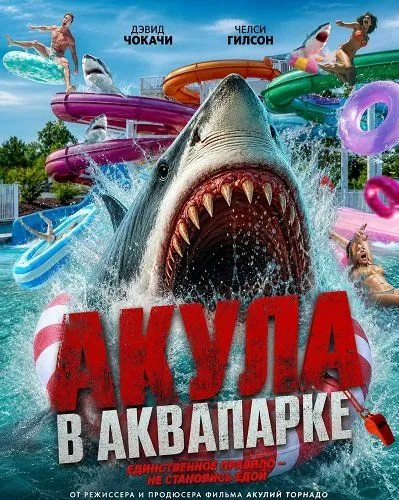 Акула в аквапарке (2026)